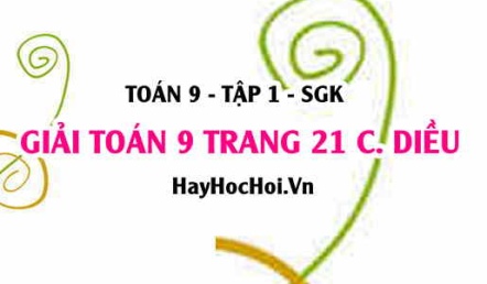 Giải Toán 9 trang 21 tập 1 Cánh Diều